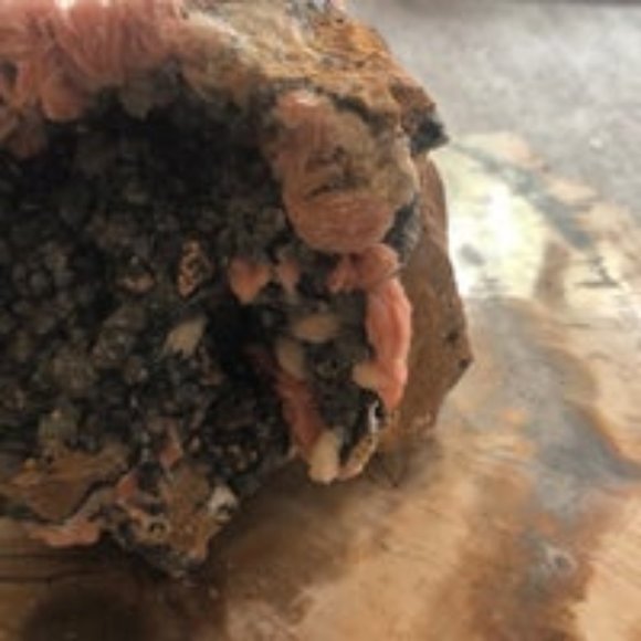 Large Barite with Cerussite Crystals. - Picture 4 of 7